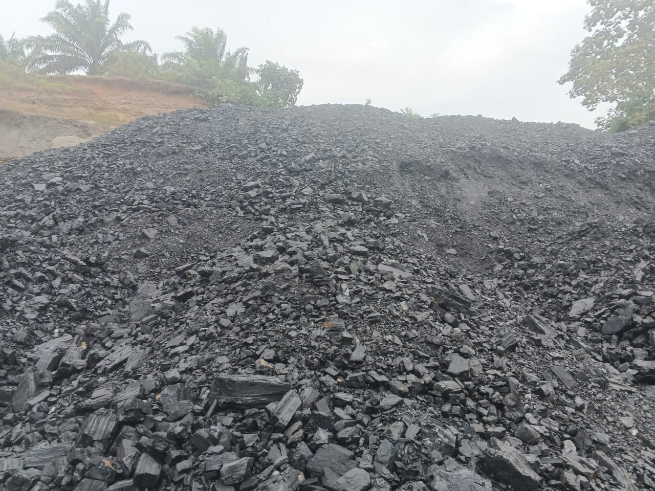 Coal SJ1.jpeg