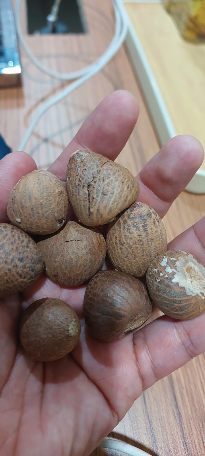 beetalnut.jpg