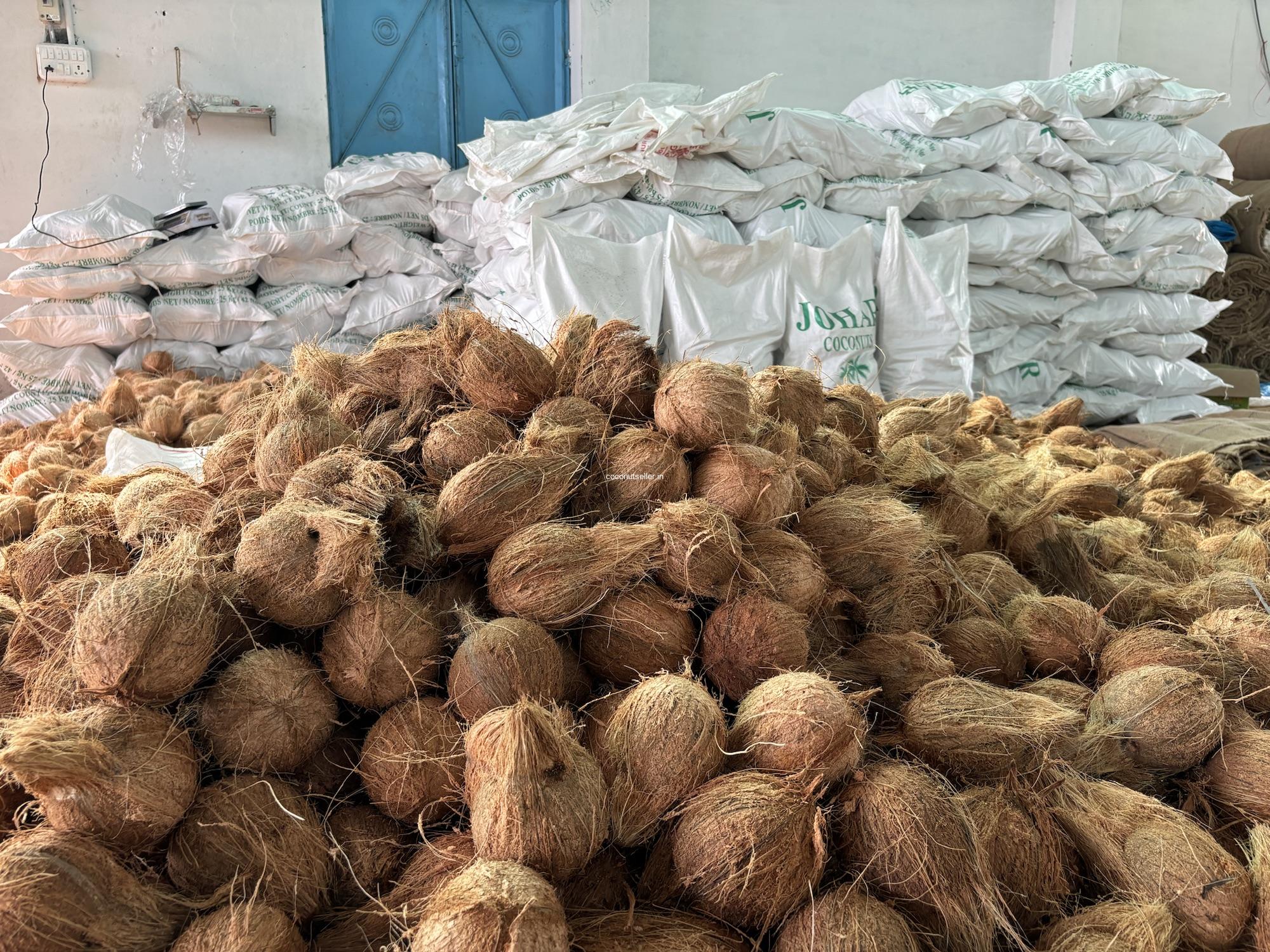Semi Husked Coconut